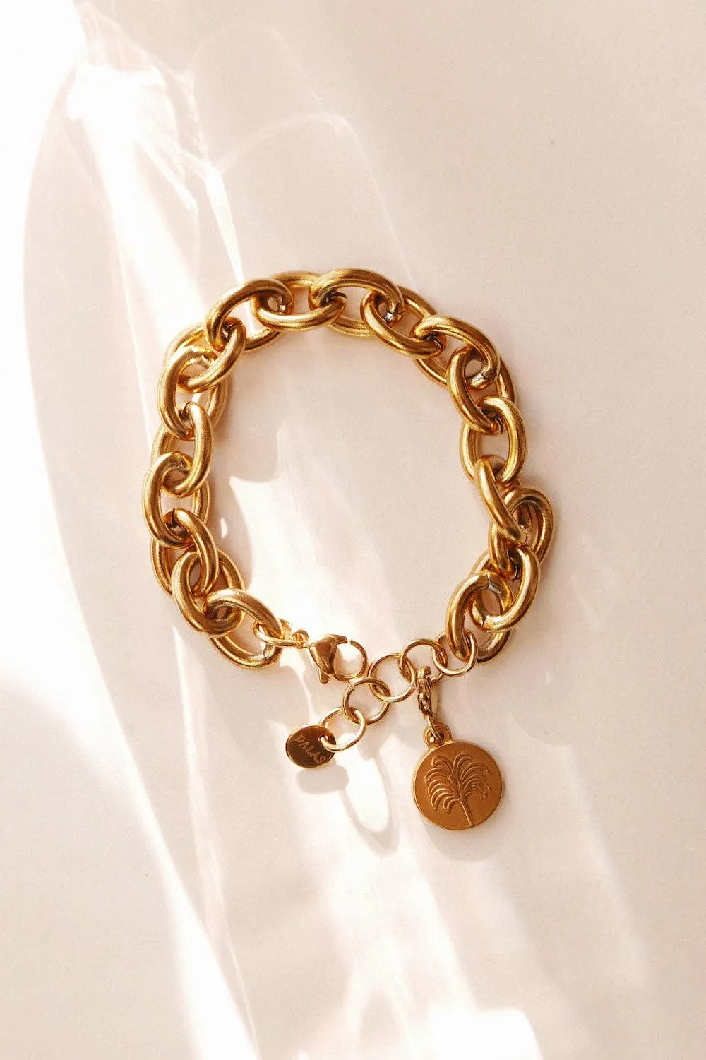 Palas Palmeira Palm Tree Charm