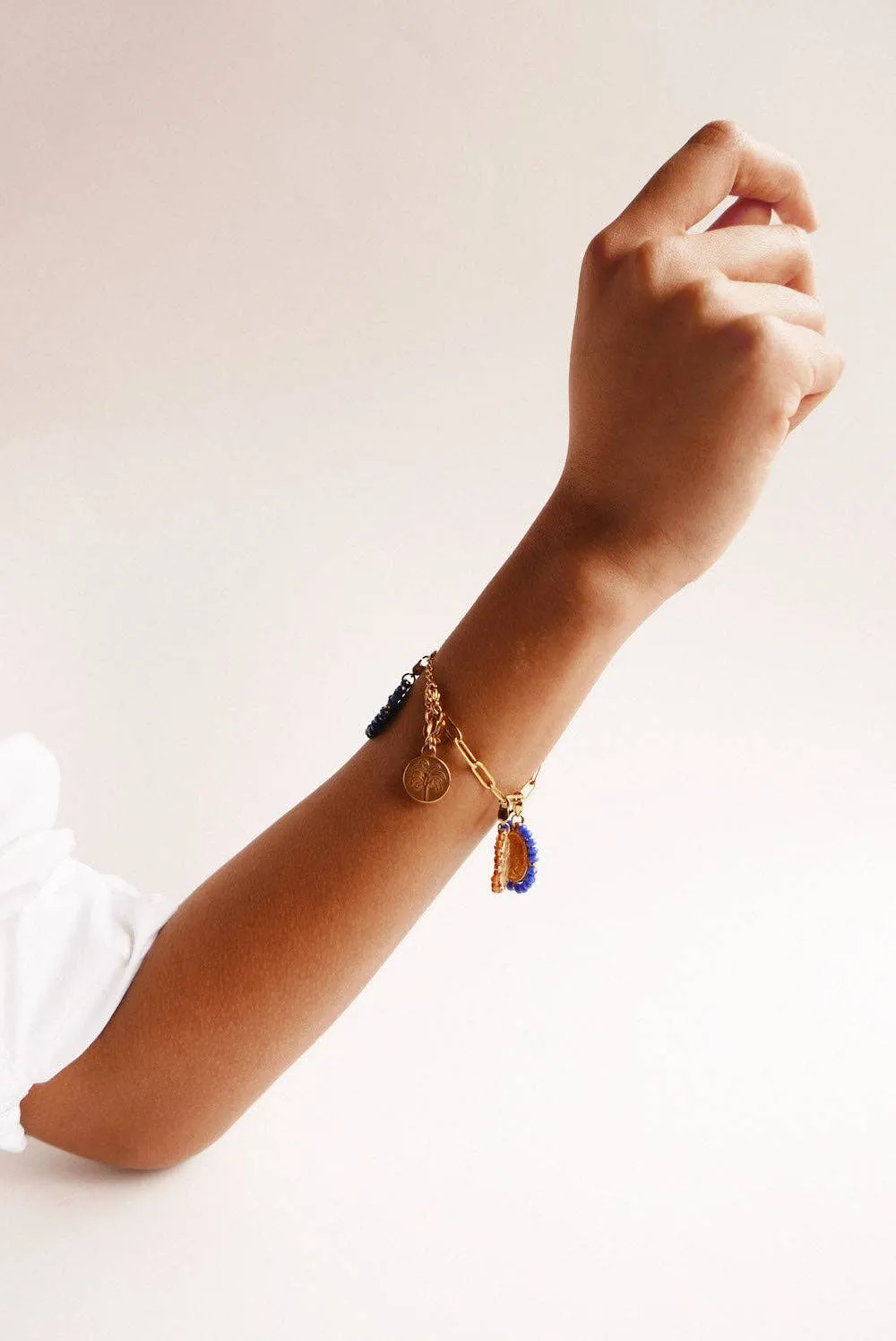 Palas Palmeira Palm Tree Charm