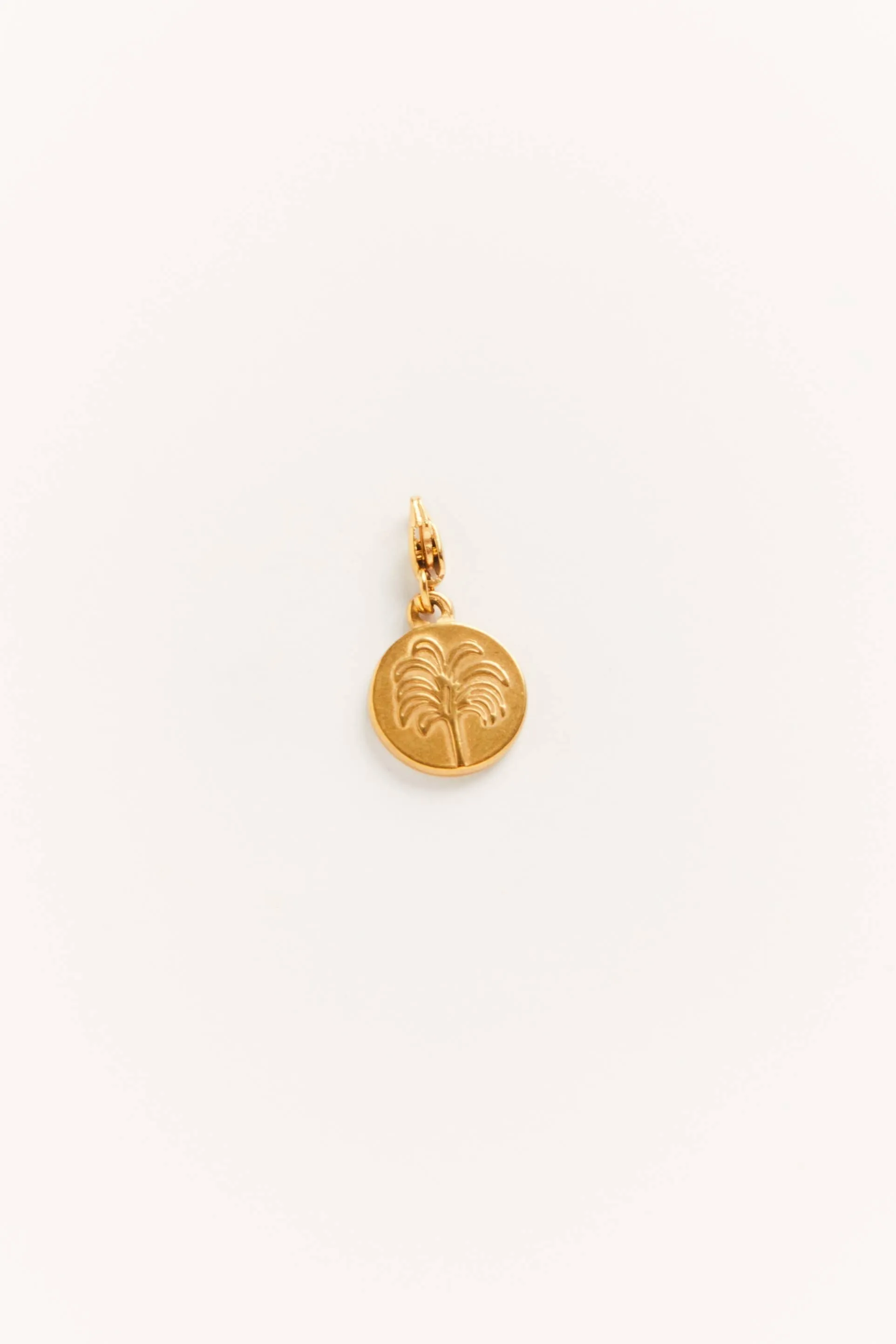 Palas Palmeira Palm Tree Charm