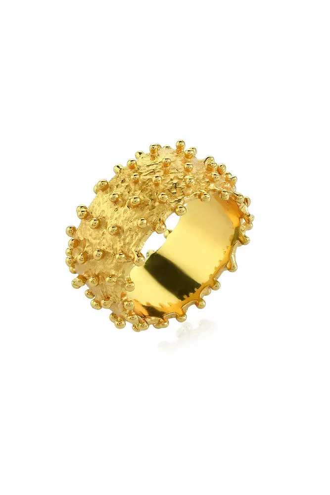 Shyla Ilina Spike Ring
