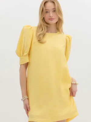 Sunny Puff Sleeve Mini Dress